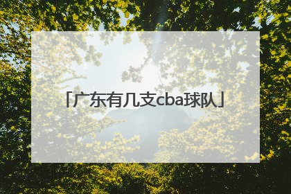 「广东有几支cba球队」广东cba球队有几只