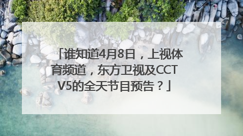 谁知道4月8日，上视体育频道，东方卫视及CCTV5的全天节目预告？