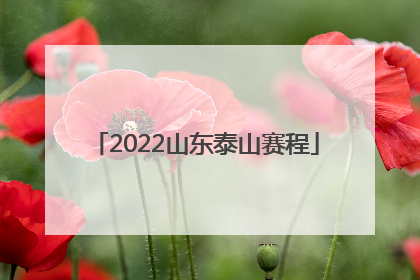 2022山东泰山赛程