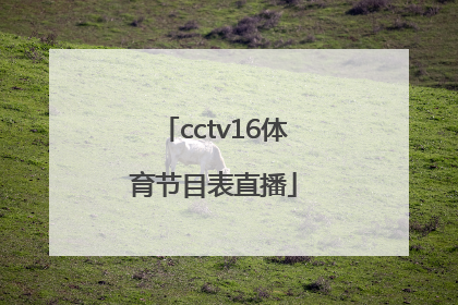 「cctv16体育节目表直播」央视直播cctv16节目表