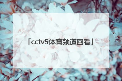 「cctv5体育频道回看」CCTV5-体育频道