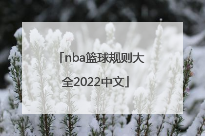 「nba篮球规则大全2022中文」FIBA篮球规则大全2022中文